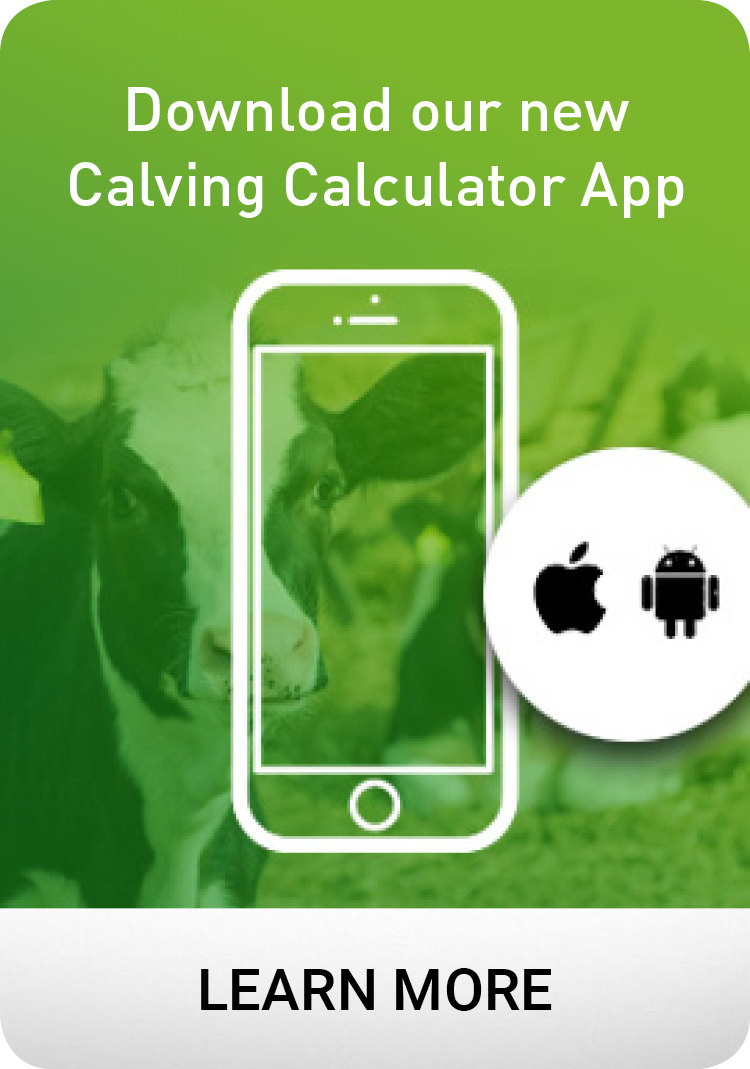 Repro360 Calving Calculator